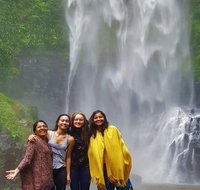 Full-Day Guided Sightseeing Tour of the Gold Coast Waterfalls - Gold Coast Attractions