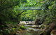 SHUTTLE - Mossman Gorge & Cooya Beach From Port Douglas (Return Transfer) - thumb 4