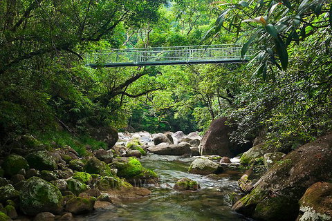 SHUTTLE - Mossman Gorge & Cooya Beach From Port Douglas (Return Transfer) - Gold Coast Attractions 4