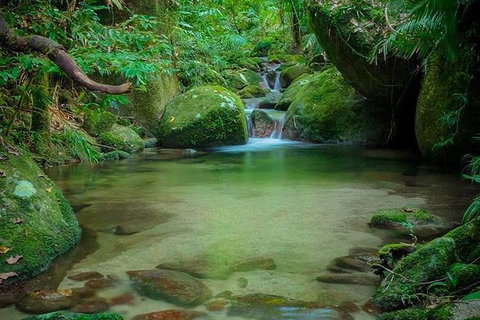 SHUTTLE - Mossman Gorge & Cooya Beach From Port Douglas (Return Transfer) - Gold Coast Attractions 2