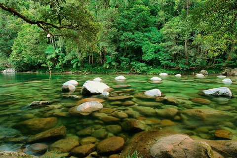 SHUTTLE - Mossman Gorge & Cooya Beach From Port Douglas (Return Transfer) - Gold Coast Attractions 3