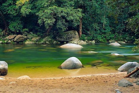SHUTTLE - Mossman Gorge & Cooya Beach From Port Douglas (Return Transfer) - Gold Coast Attractions 1