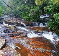 Springbrook Full Day Tour - Gold Coast Attractions