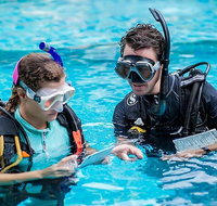 PADI Diving Courses on the Gold Coast - Gold Coast Attractions