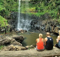 Private Half-Day Springbrook National Park Eco Tour - Up to 6 people - Gold Coast Attractions