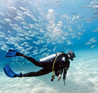 Exciting Gold Coast Diving Excursions - Gold Coast Attractions