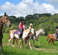 Horse Riding with Petting Zoo Visit in Cairns - Gold Coast Attractions