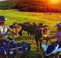 ATV Ride with Petting Zoo Experience in Kuranda from Cairns - Gold Coast Attractions