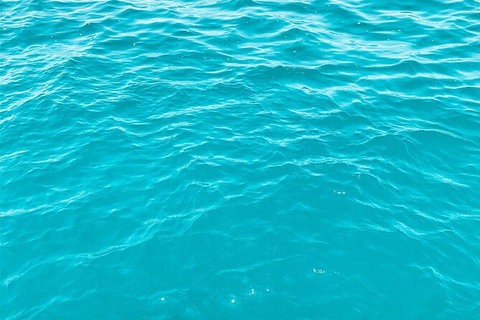 5 Night Bareboat Onboard Cattitude - Gold Coast Attractions 2