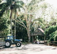 Tropical Fruit World Farm Full Tour - Gold Coast Attractions