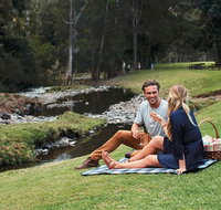 Mt Tamborine - Hinterland Wonders Self Guided - Gold Coast Attractions