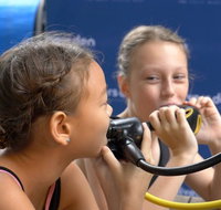 Scuba Kids- Padi Bubblemaker Course - Gold Coast Attractions