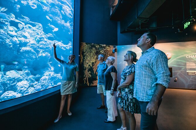 Mooroobool QLD Gold Coast Attractions