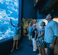 Cairns Aquarium by Twilight with 3 Course Dinner - Gold Coast Attractions