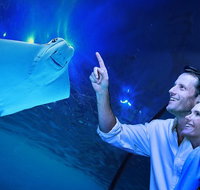 Cairns Aquarium Tour by Twilight with Drink and Appetiser - Gold Coast Attractions