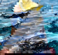 Coffin Bay Oysters Ocean  Nature Tour - Gold Coast Attractions