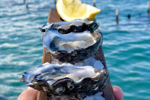 Coffin Bay Oysters, Ocean & Nature Tour - Gold Coast Attractions 0