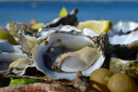 Coffin Bay Oysters, Ocean & Nature Tour - Gold Coast Attractions 8