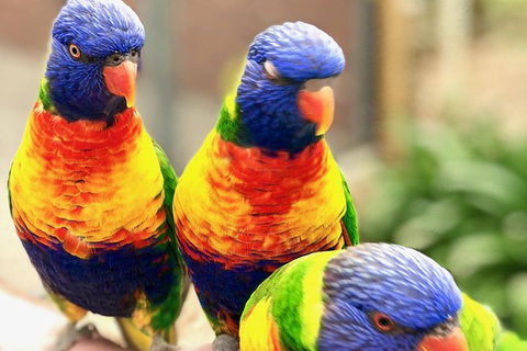 Coffin Bay Oysters, Ocean & Nature Tour - Gold Coast Attractions 9