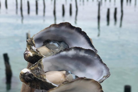 Coffin Bay Oysters, Ocean & Nature Tour - Gold Coast Attractions 6