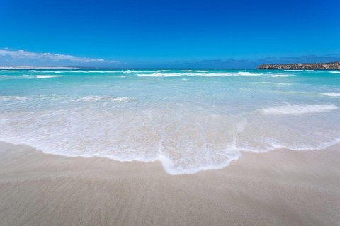 Coffin Bay Oysters, Ocean & Nature Tour - Gold Coast Attractions 14