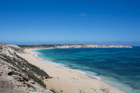 Coffin Bay Oysters, Ocean & Nature Tour - Gold Coast Attractions 16