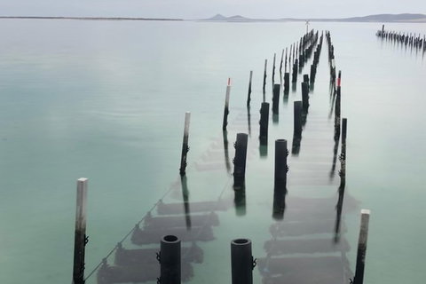 Coffin Bay Oysters, Ocean & Nature Tour - Gold Coast Attractions 15