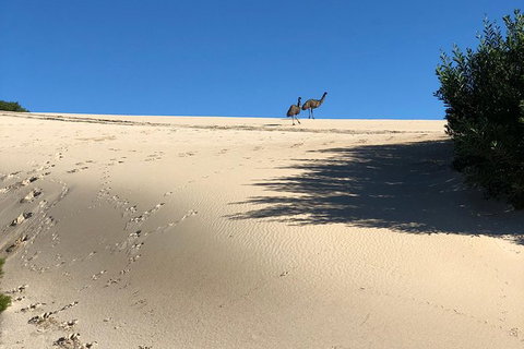 Coffin Bay Oysters, Ocean & Nature Tour - Gold Coast Attractions 4