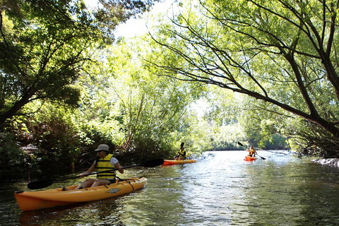 Paddle With The Platypus Twilight Kayak Adventure - Gold Coast Attractions 0