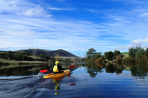 Paddle With The Platypus Twilight Kayak Adventure - Gold Coast Attractions 5