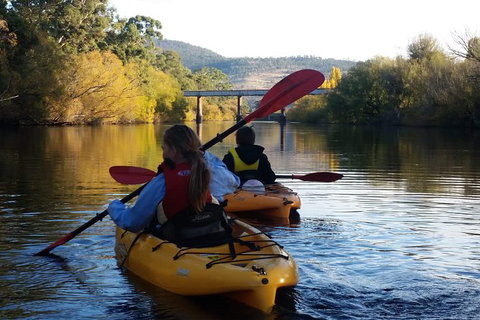 Paddle With The Platypus Twilight Kayak Adventure - Gold Coast Attractions 1