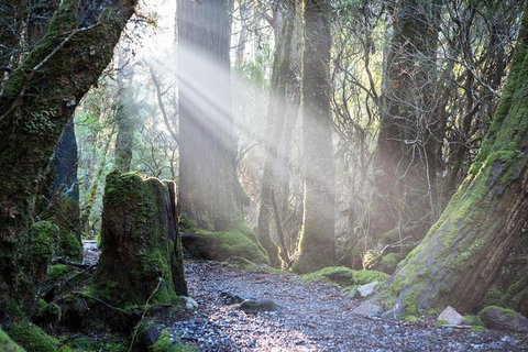 Cradle Mountain Day Tour - Gold Coast Attractions 1