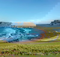 Cruise Ship Special from Burnie to Stanley and The Nut - Gold Coast Attractions