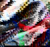 Sunset Experience - Gold Coast Attractions