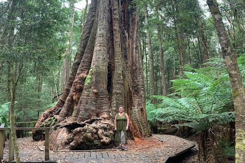 Cruise Ship Excursion: Stanley - Gold Coast Attractions 20