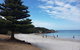 Cruise Ship Excursion: Stanley - thumb 21