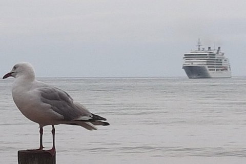 Cruise Ship Excursion: Stanley - Gold Coast Attractions 9