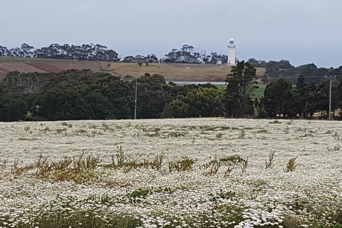 Cruise Ship Excursion: NW Tassie Coastal Explorer - Gold Coast Attractions 14