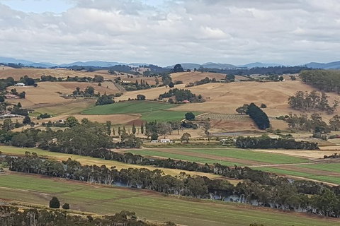 Cruise Ship Excursion: NW Tassie Coastal Explorer - Gold Coast Attractions 6