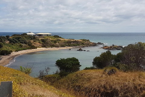 Cruise Ship Excursion: NW Tassie Coastal Explorer - Gold Coast Attractions 13