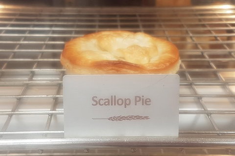 Cruise Ship Excursion: NW Tassie Coastal Explorer - Gold Coast Attractions 2