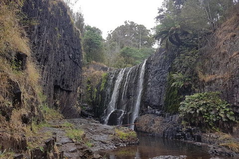 Cruise Ship Excursion: NW Tassie Coastal Explorer - Gold Coast Attractions 16