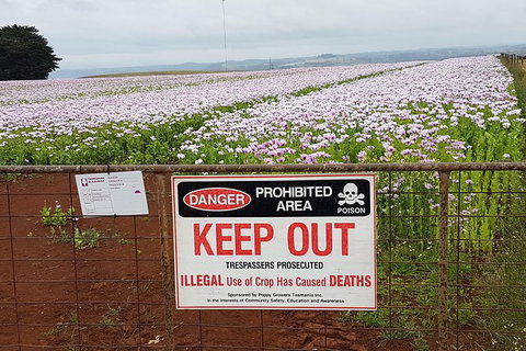 Cruise Ship Excursion: NW Tassie Coastal Explorer - Gold Coast Attractions 10