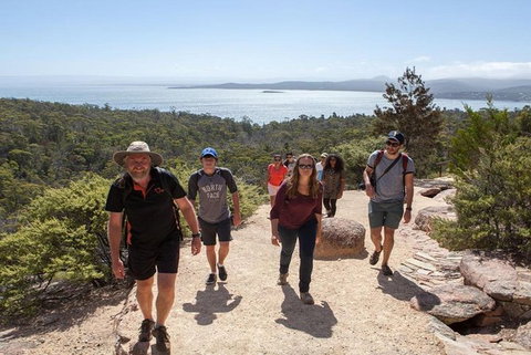 Half-Day Tour To Wineglass Bay From Launceston With Guide - Gold Coast Attractions 4