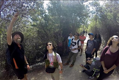 Half-Day Tour To Wineglass Bay From Launceston With Guide - Gold Coast Attractions 1