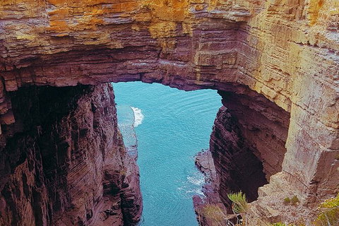 4-Day Fabulous Tasmania Tour: Wineglass Bay, Port Arthur, Devils & Bruny Island - Gold Coast Attractions 6