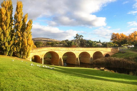 4-Day Fabulous Tasmania Tour: Wineglass Bay, Port Arthur, Devils & Bruny Island - Gold Coast Attractions 7