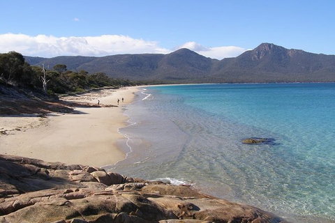 4-Day Fabulous Tasmania Tour: Wineglass Bay, Port Arthur, Devils & Bruny Island - Gold Coast Attractions 10