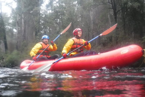 Twin Rivers Winter Adventure - Gold Coast Attractions 3