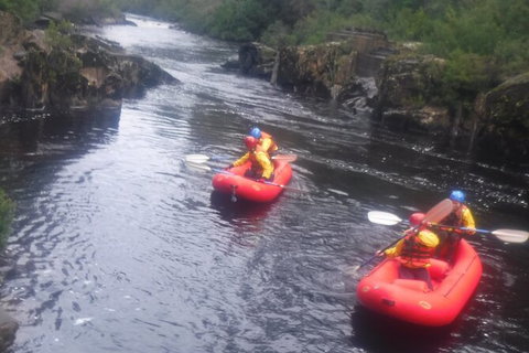 Twin Rivers Winter Adventure - Gold Coast Attractions 1